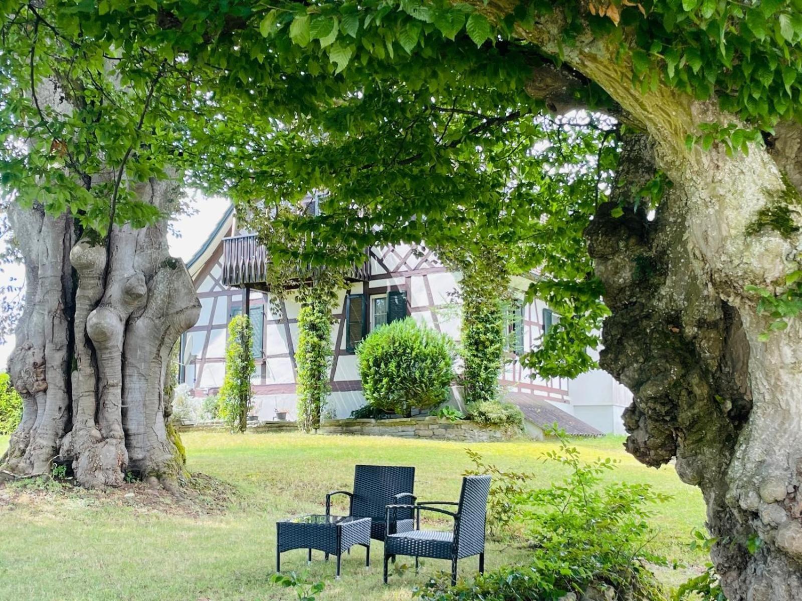 Appartement Villa Seeliebe Taegerwilen Luaran gambar